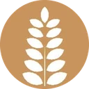 Alérgeno: Gluten